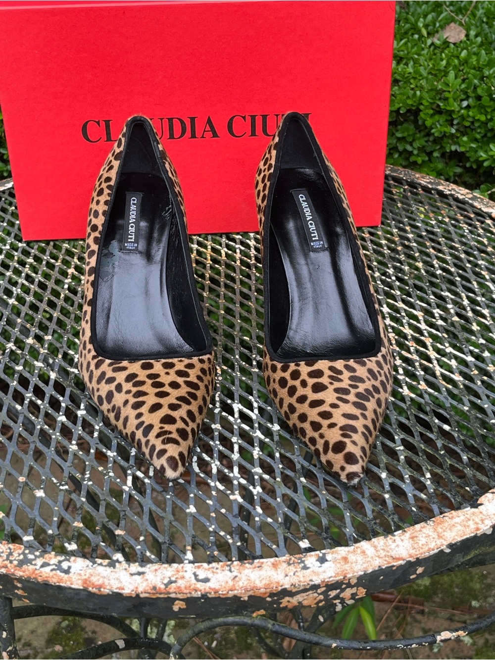 Claudia Ciuti Leopard-Print Pointed Toe Heels - Brown/Black